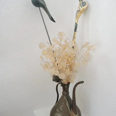 Vakantiehuis Casa Lucciola By Fewotessin